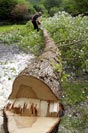 About West Coast Tree Care